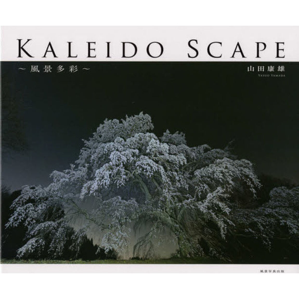 ＫＡＬＥＩＤＯ　ＳＣＡＰＥ　風景多彩