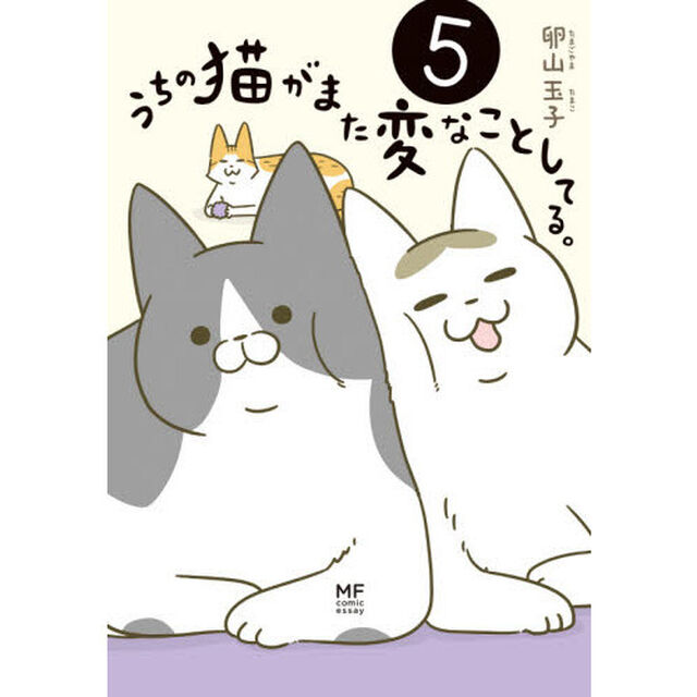 うちの猫がまた変なことしてる。5 (メディアファクトリーのコミックエッセイ)