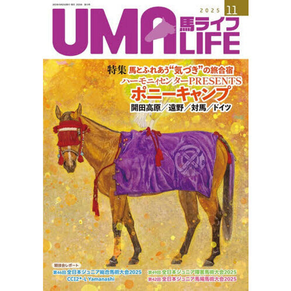 馬ライフ　２０２５－１１