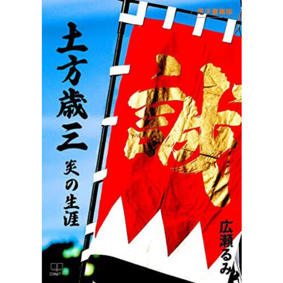 土方歳三　炎の生涯