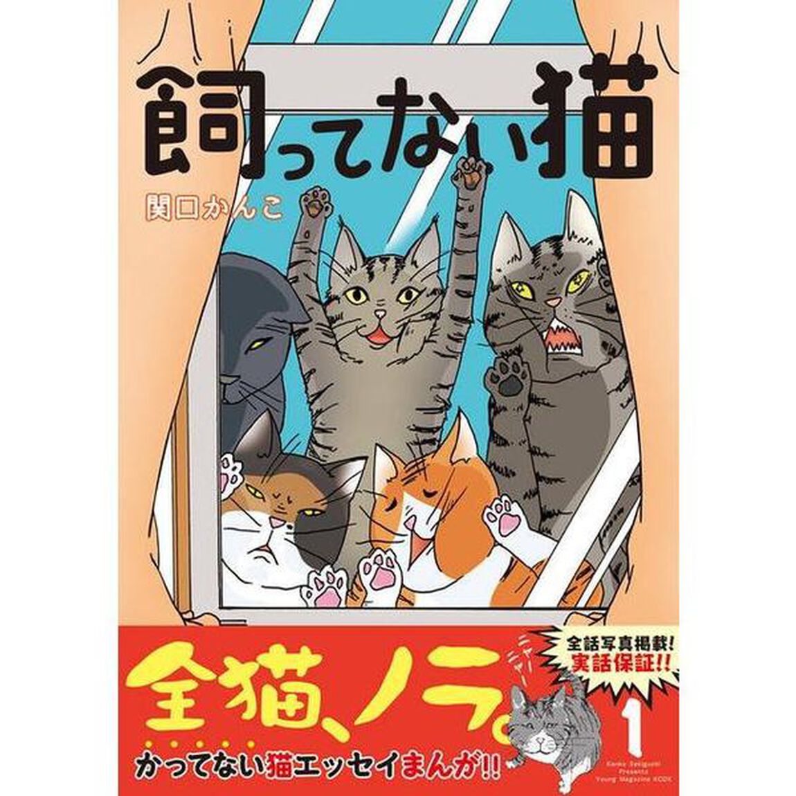 飼ってない猫　１