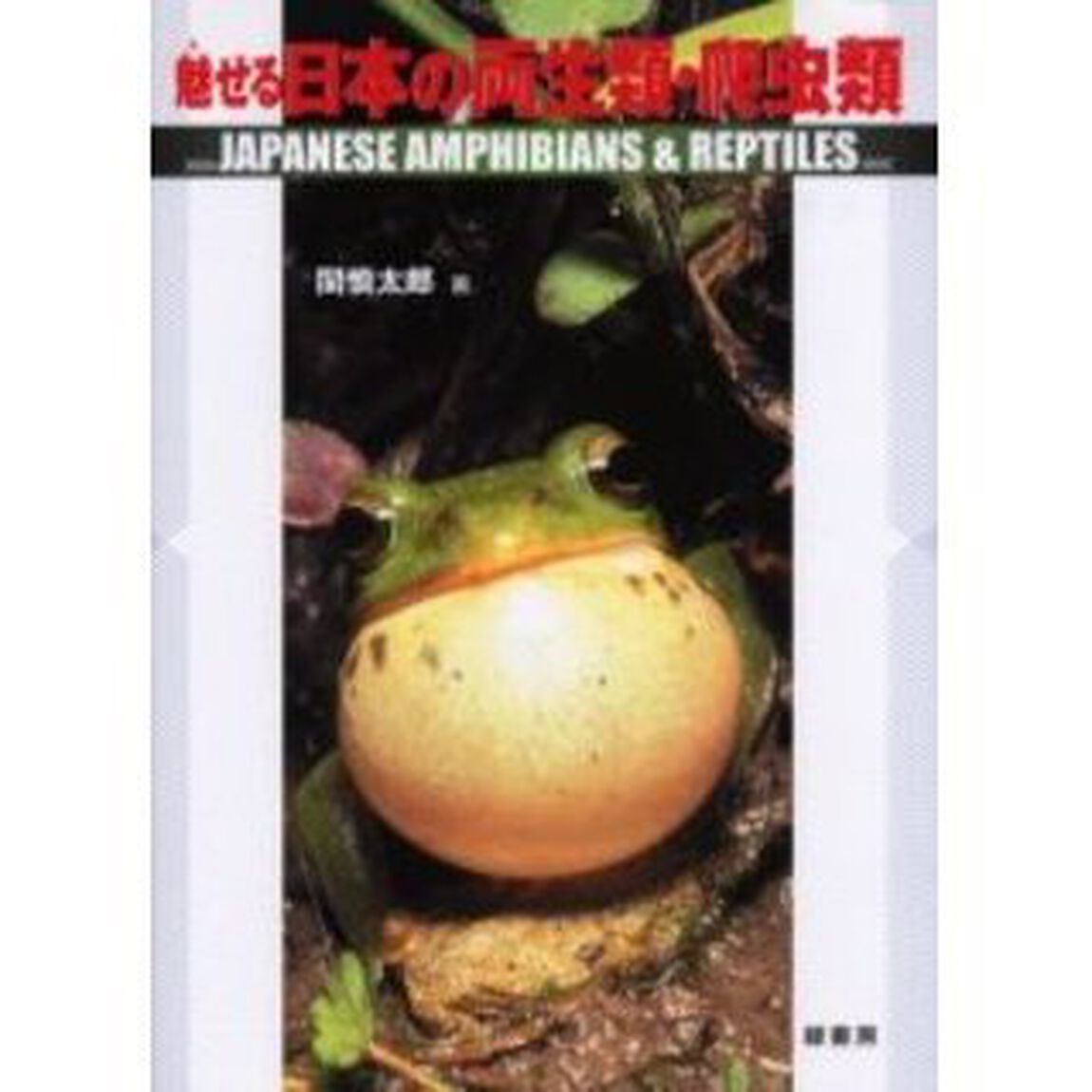 魅せる日本の両生類・爬虫類
