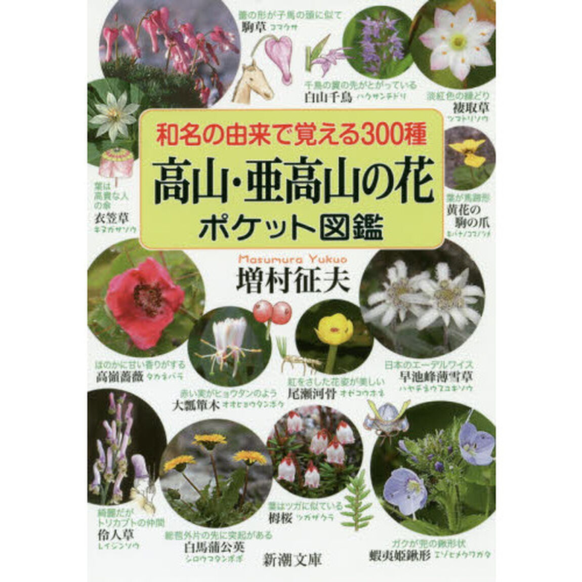 和名の由来で覚える３００種高山・亜高山の花ポケット図鑑