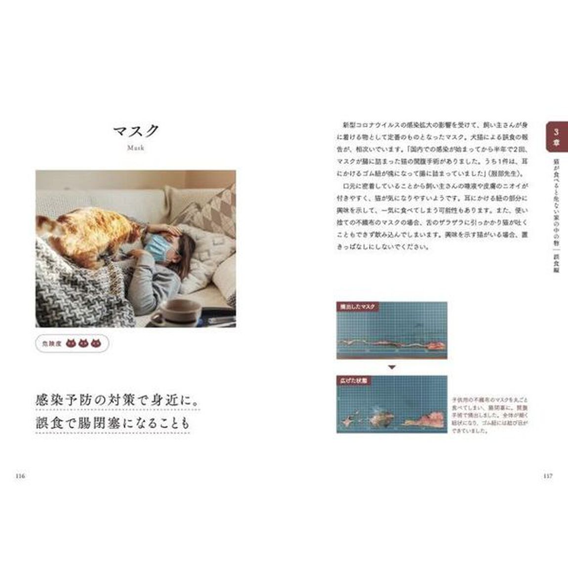 猫が食べると危ない食品・植物・家の中の物図鑑　誤食と中毒からあなたの猫を守るために