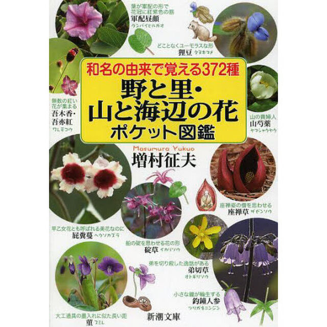 和名の由来で覚える３７２種野と里・山と海辺の花ポケット図鑑