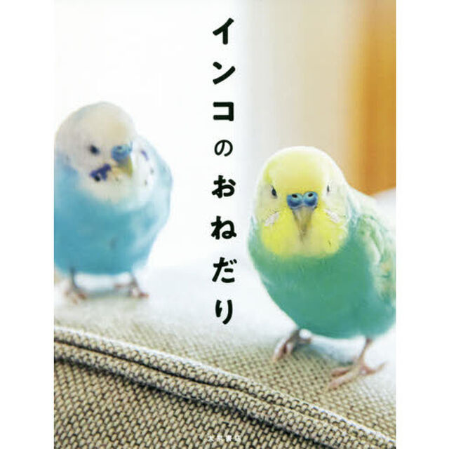 インコのおねだり