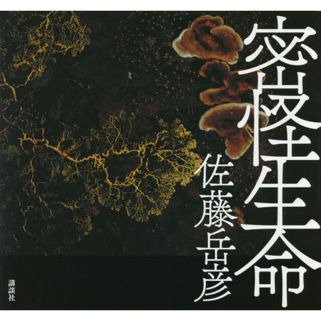 密怪生命