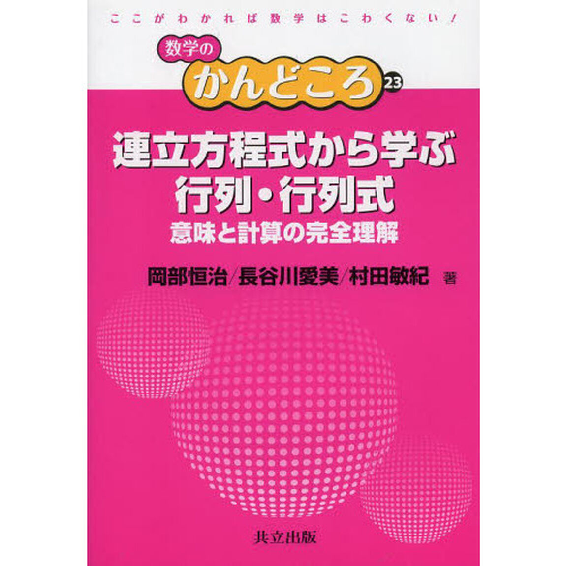連立方程式から学ぶ行列・行列式　意味と計算の完全理解