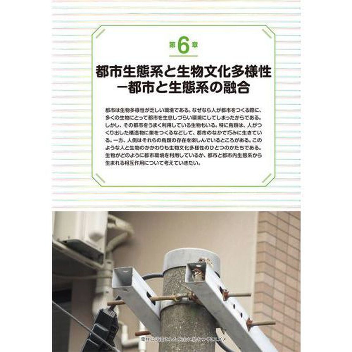 はじめて学ぶ生物文化多様性