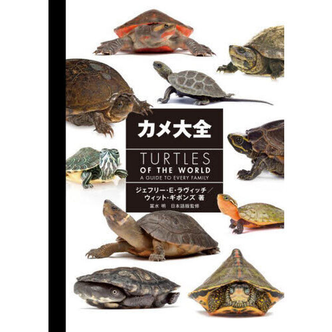 カメ大全
