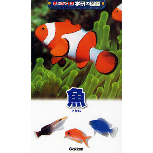 魚
