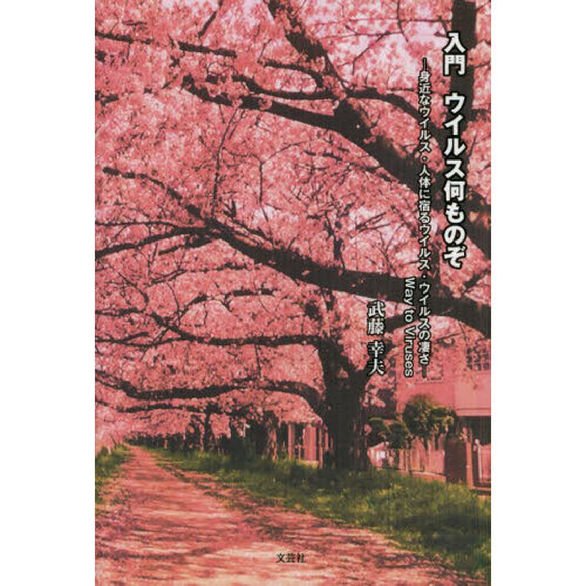 入門ウイルス何ものぞ　－身近なウイルス・人体に宿るウイルス・ウイルスの凄さ－Ｗａｙ　ｔｏ　Ｖｉｒｕｓｅｓ