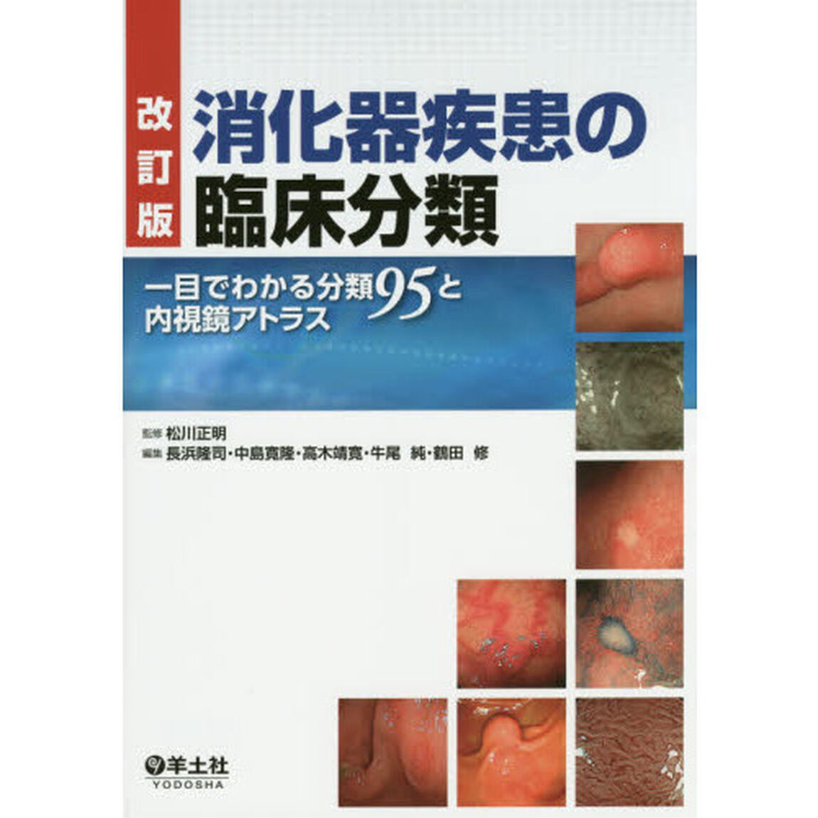 消化器疾患の臨床分類　一目でわかる分類９５と内視鏡アトラス「改訂版」