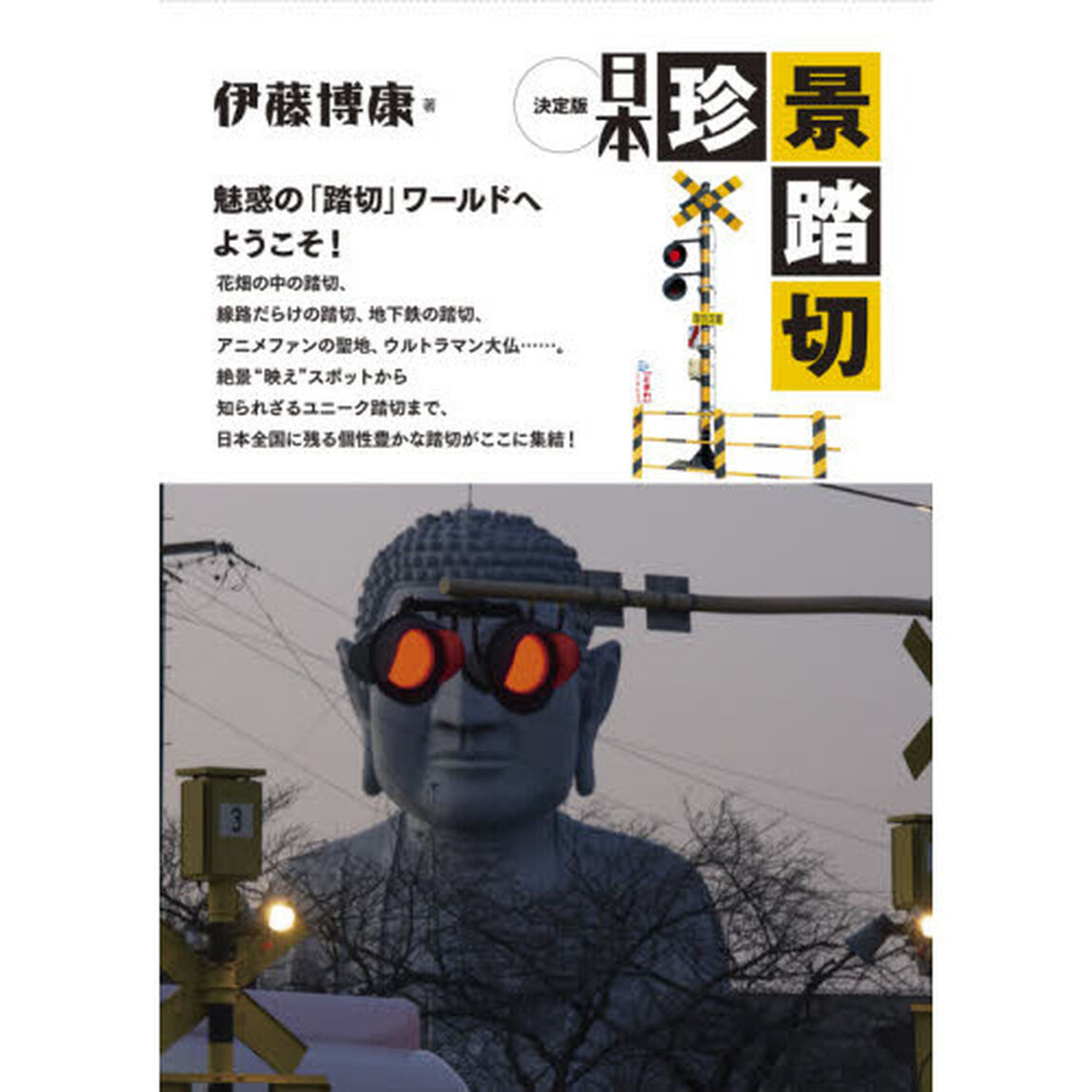 日本珍景踏切　決定版