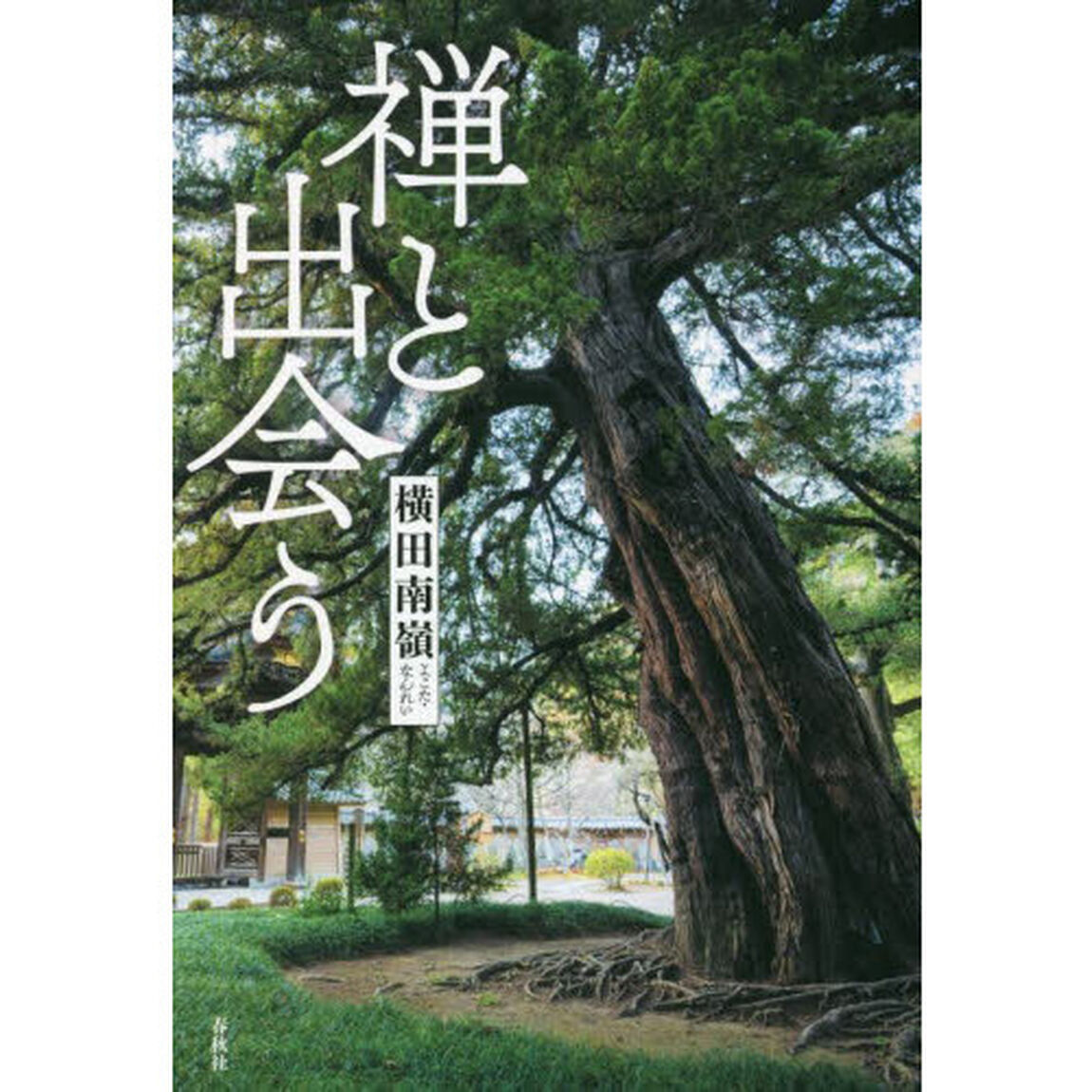 禅と出会う