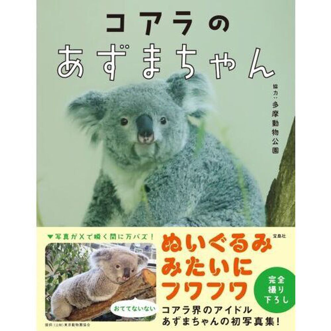 コアラのあずまちゃん