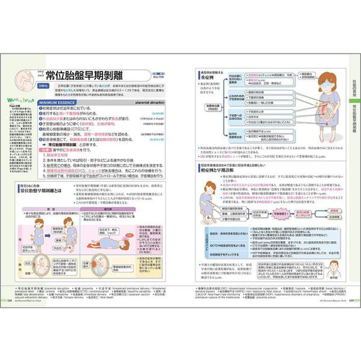 病気がみえる vol.10 産科「第４版」「産科」