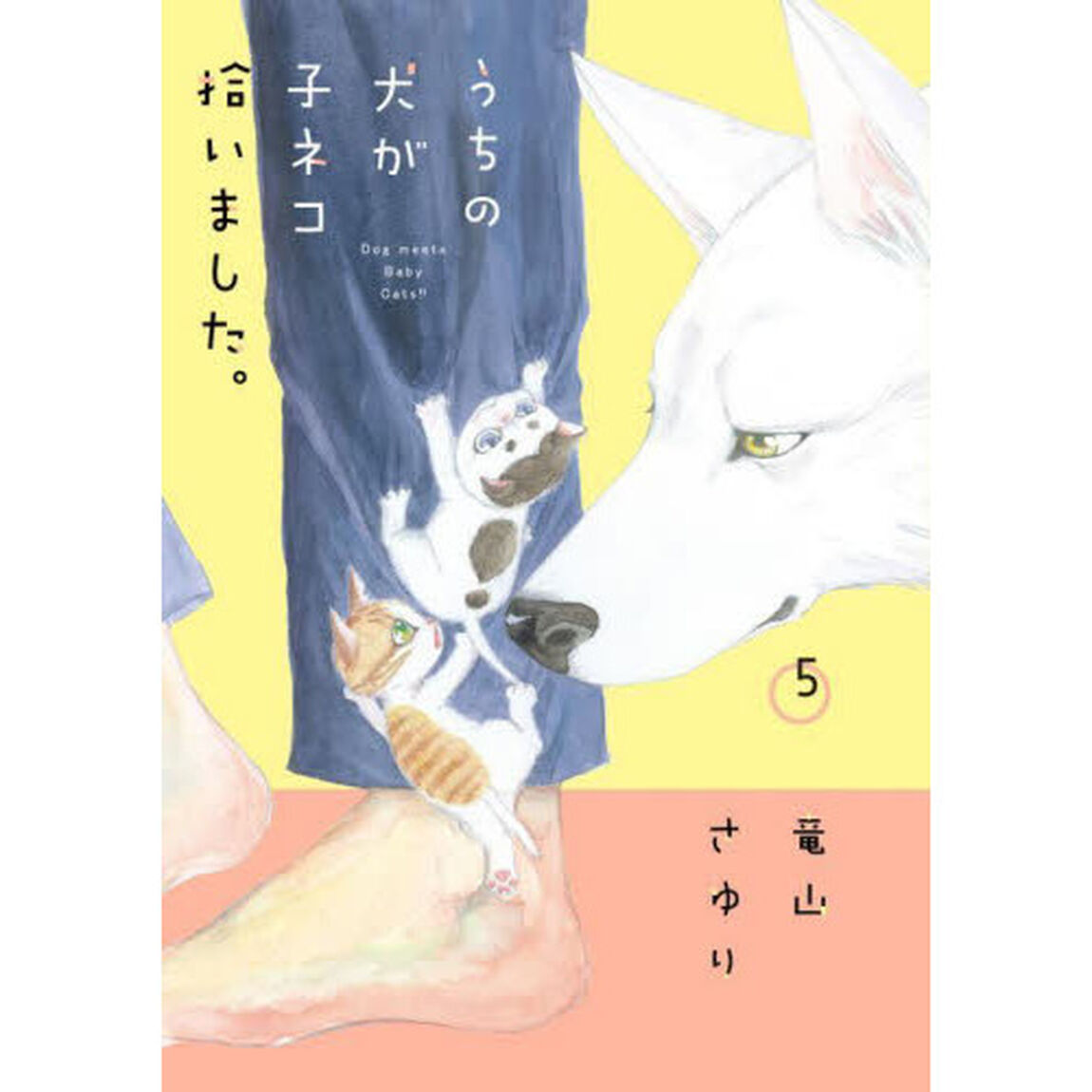 うちの犬が子ネコ拾いました。 5