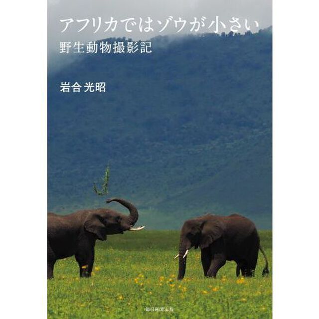 アフリカではゾウが小さい　野生動物撮影記