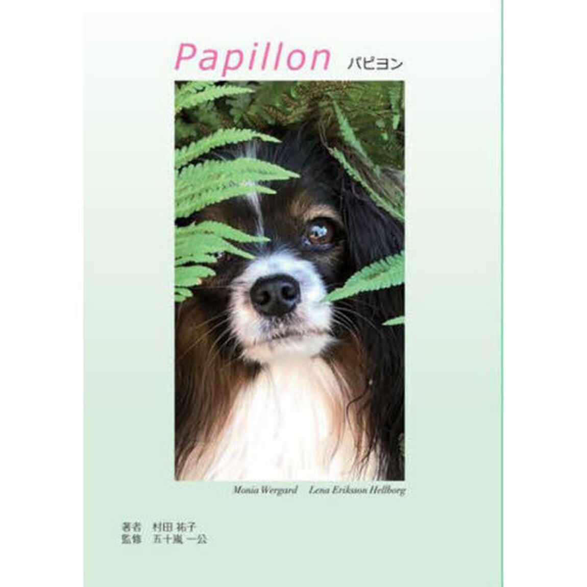 パピヨン