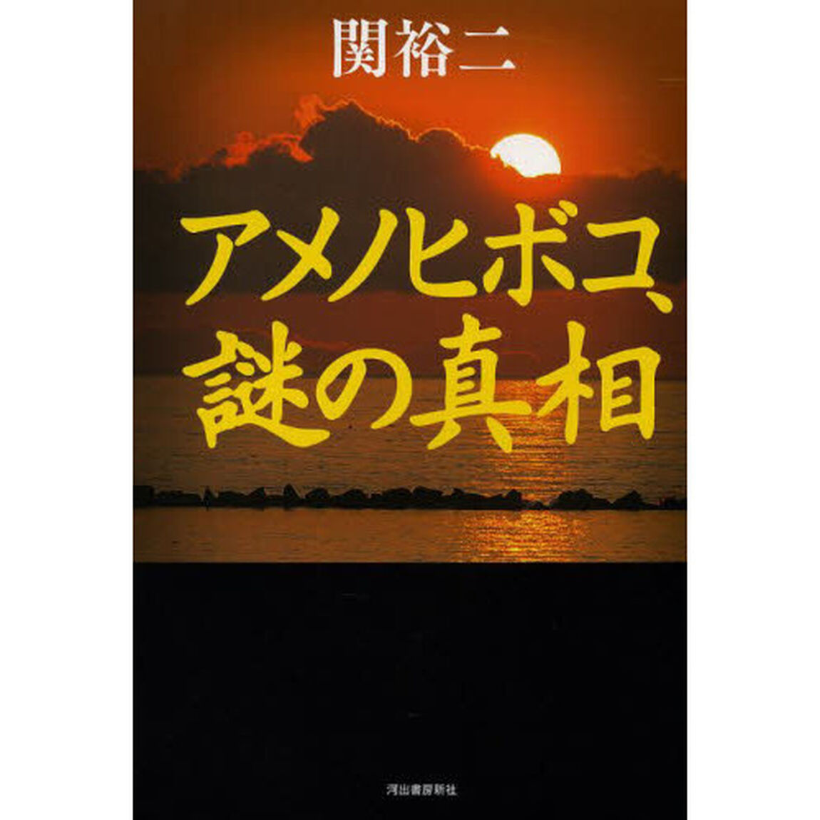 アメノヒボコ、謎の真相