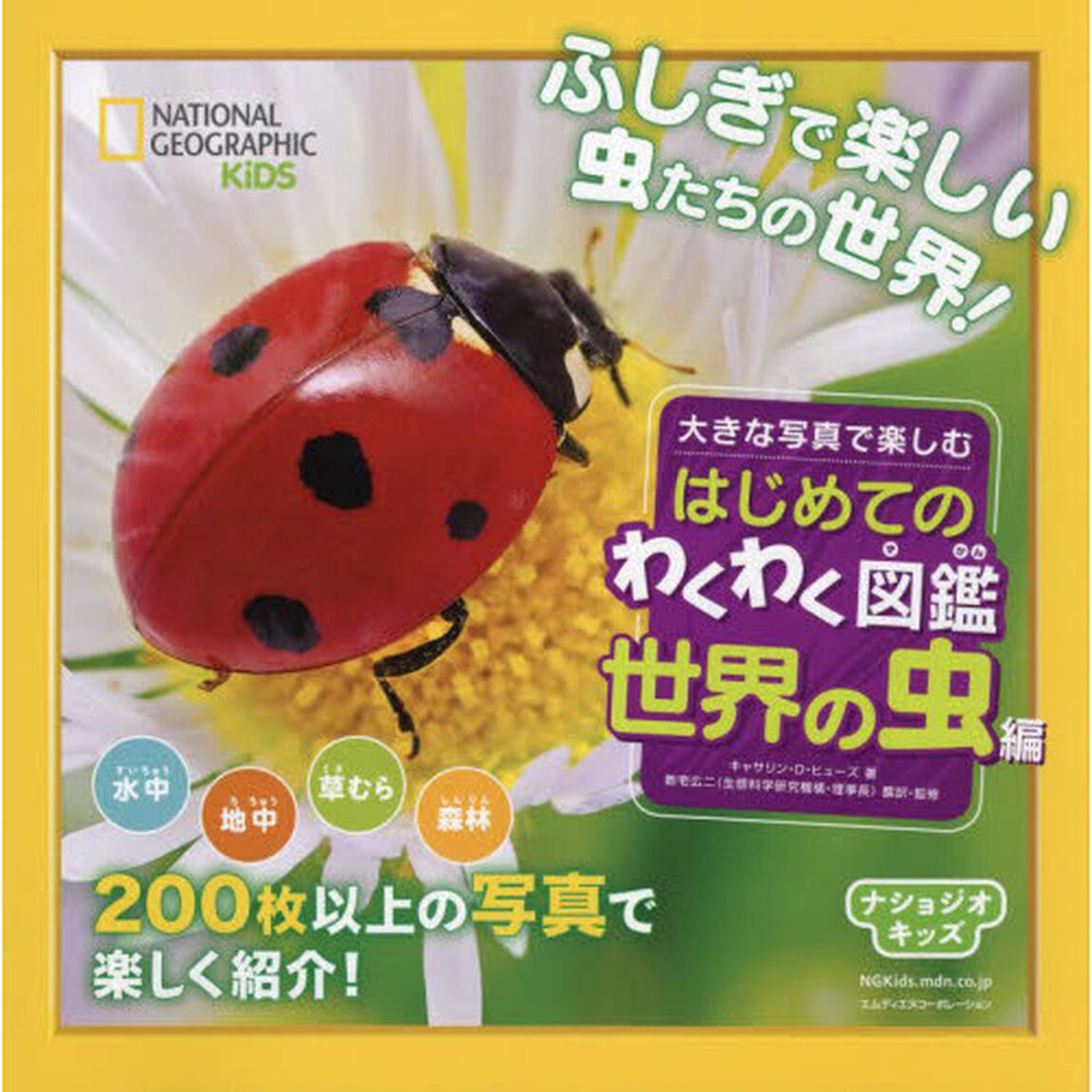 大きな写真で楽しむはじめてのわくわく図鑑世界の虫編