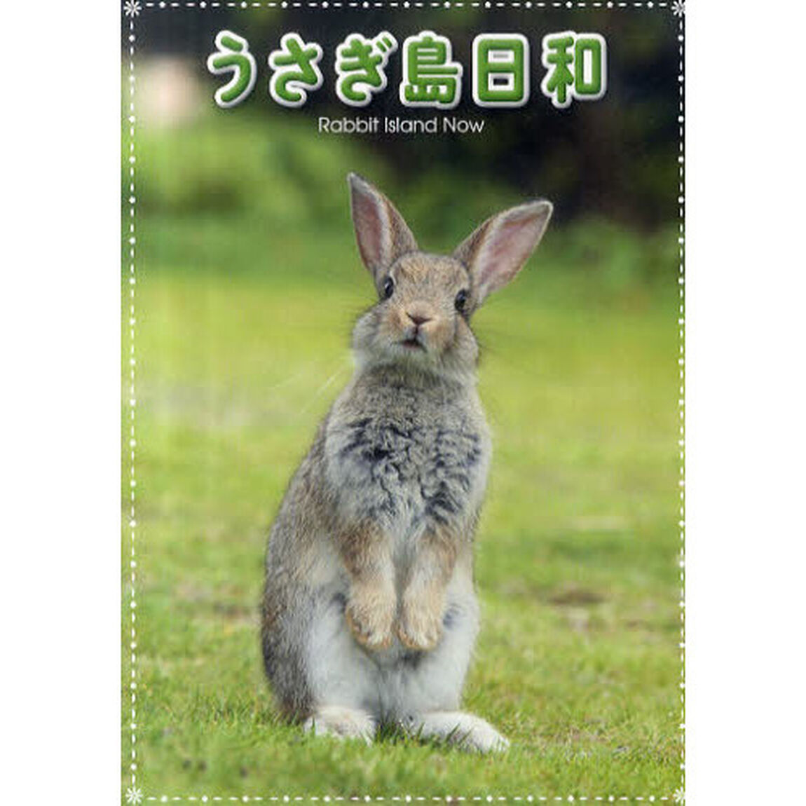 ＤＶＤ　うさぎ島日和