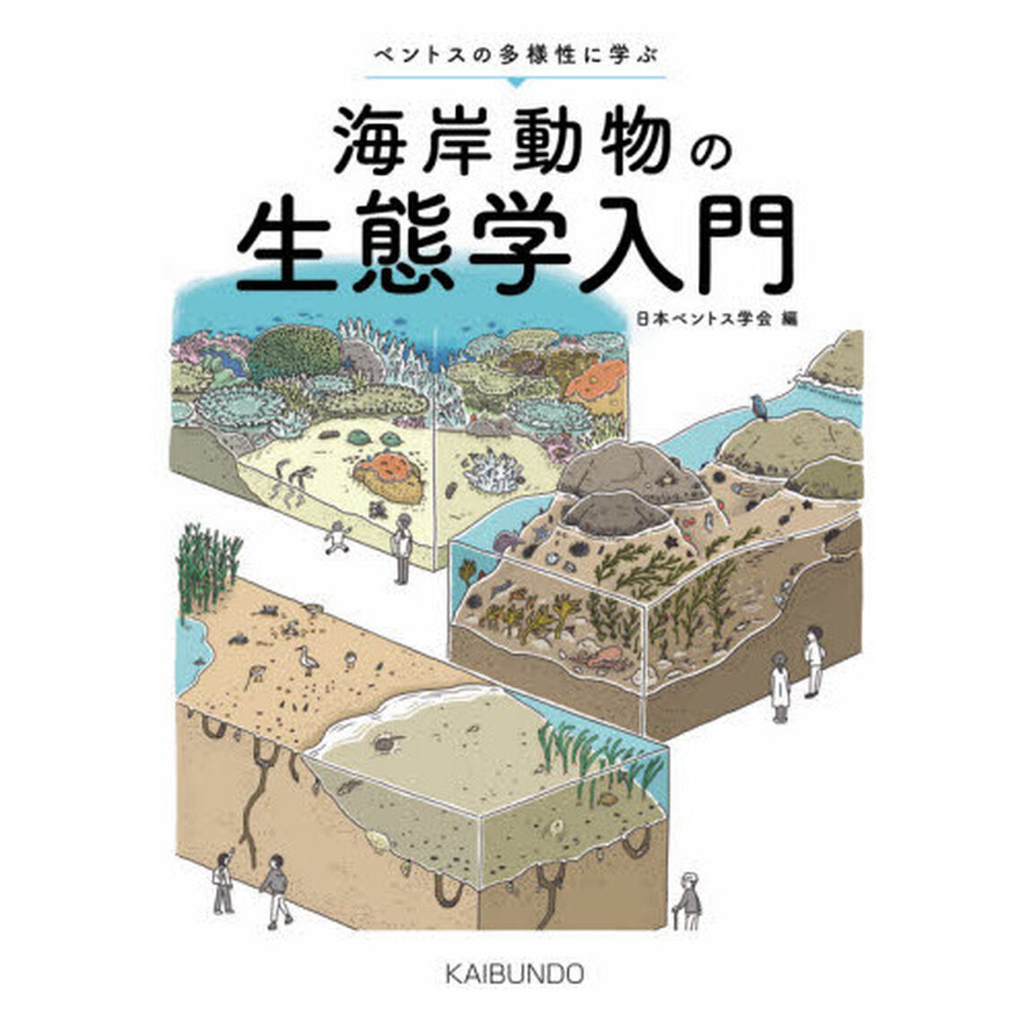 海岸動物の生態学入門　ベントスの多様性に学ぶ