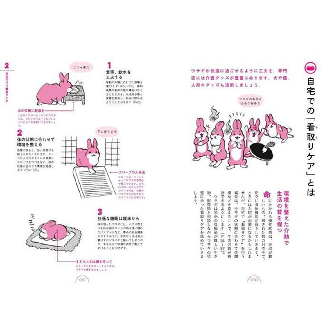 ウサギの看取りガイド　ウサギのきもちと病気その対処法がマルわかり「増補改訂版」