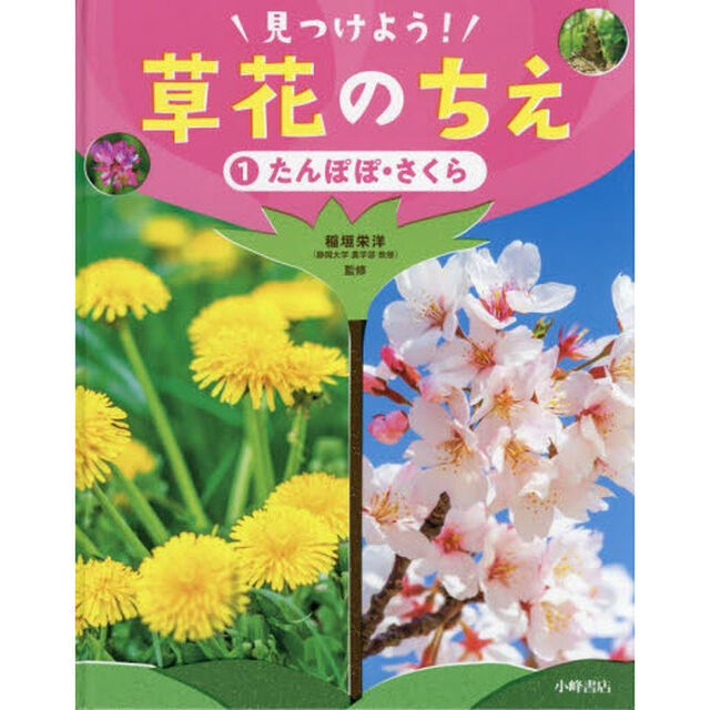 見つけよう！草花のちえ　１「たんぽぽ・さくら」
