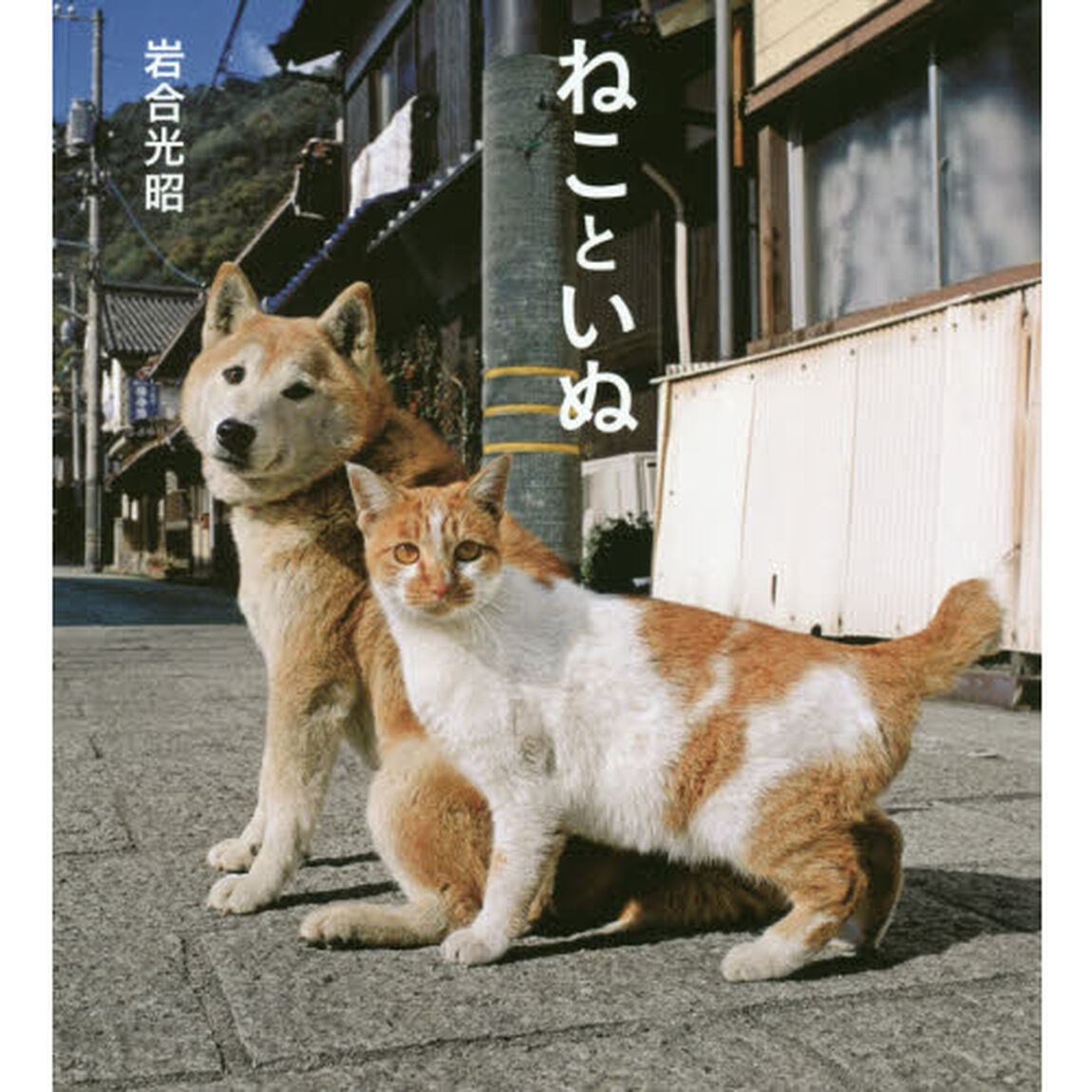 ねこといぬ