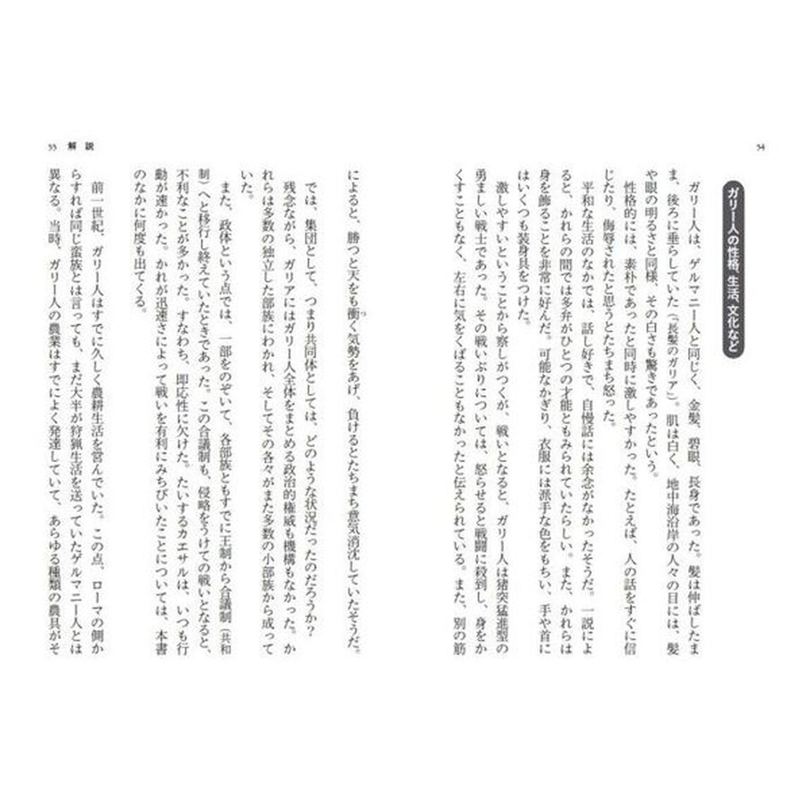 ガリア戦記　新訳