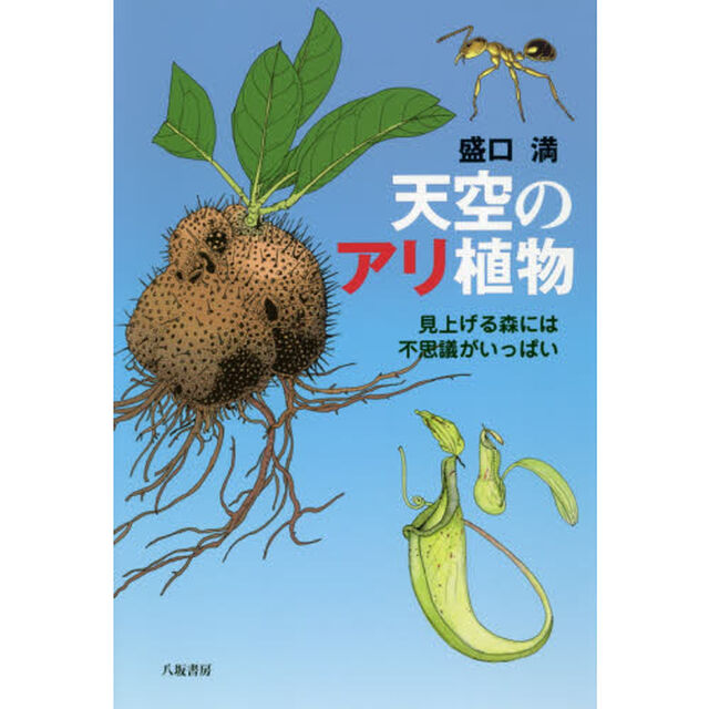 天空のアリ植物　見上げる森には不思議がいっぱい