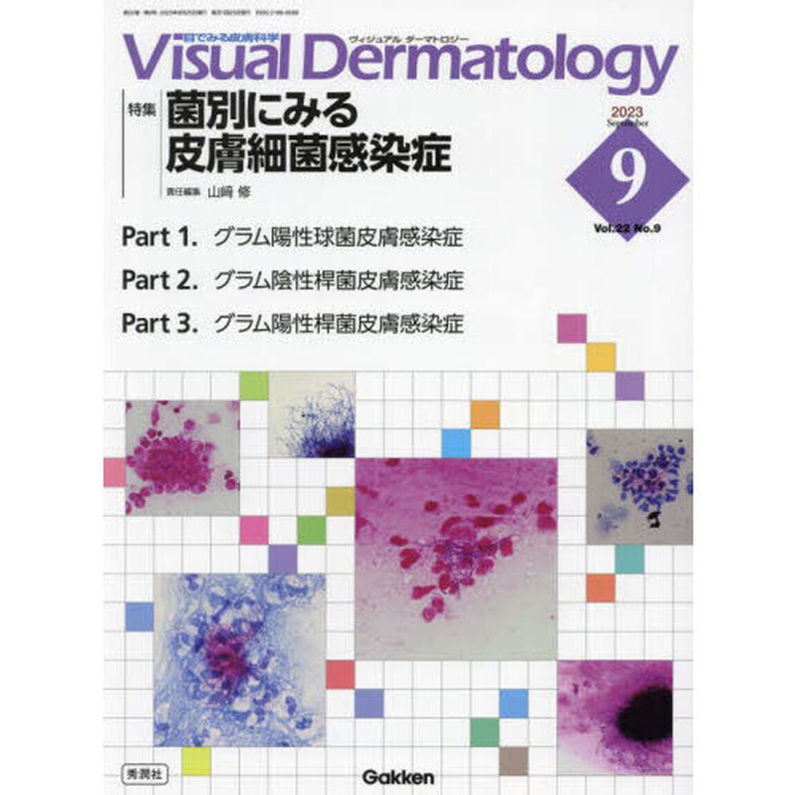 Ｖｉｓｕａｌ　Ｄｅｒｍａｔｏｌｏｇｙ　目でみる皮膚科学　Ｖｏｌ．２２Ｎｏ．９（２０２３－９）「特集菌別にみる皮膚細菌感染症」