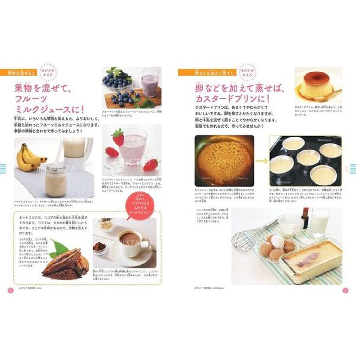 食べ物のひみつを教えます　〔３〕「牛乳・魚」