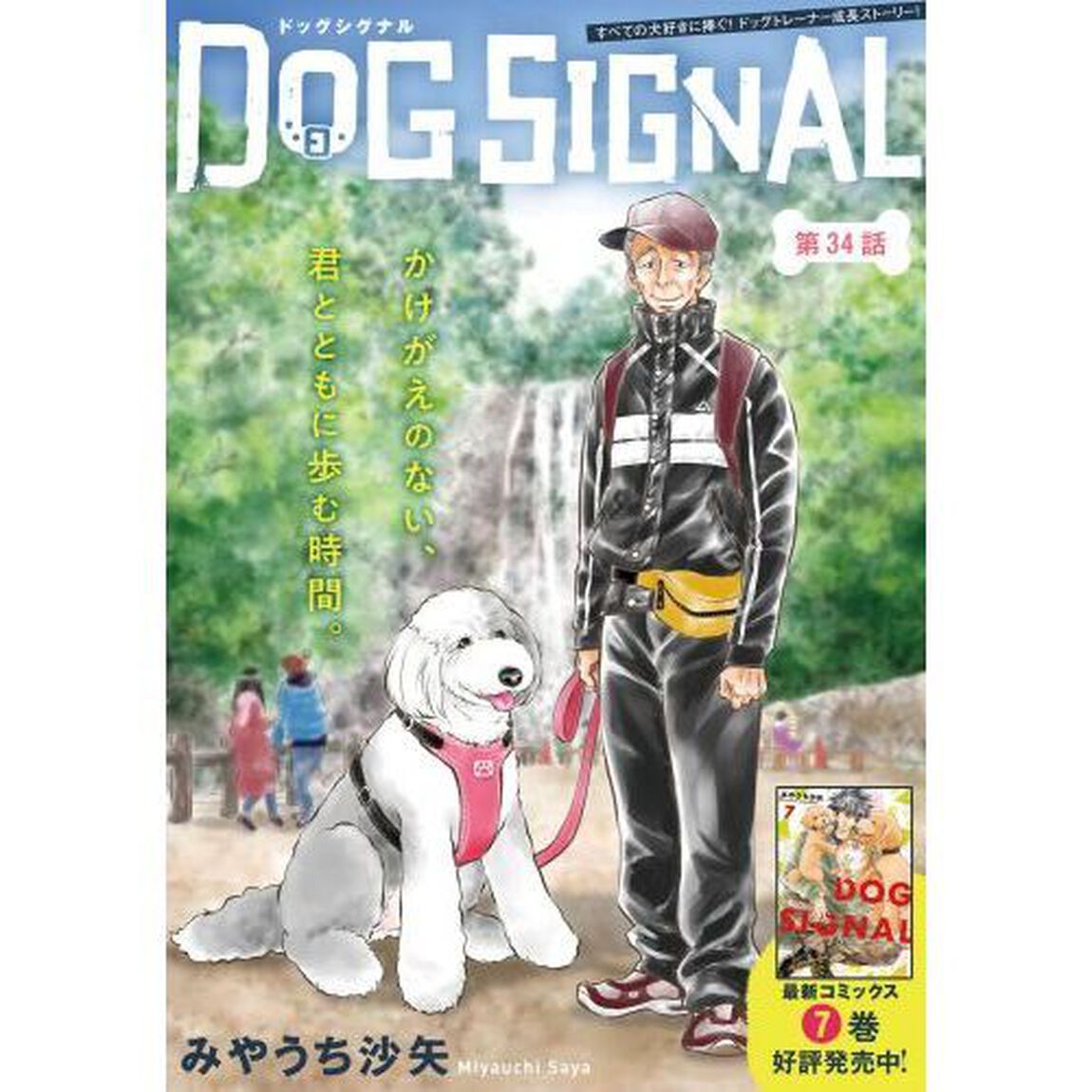 ＤＯＧ　ＳＩＧＮＡＬ　８