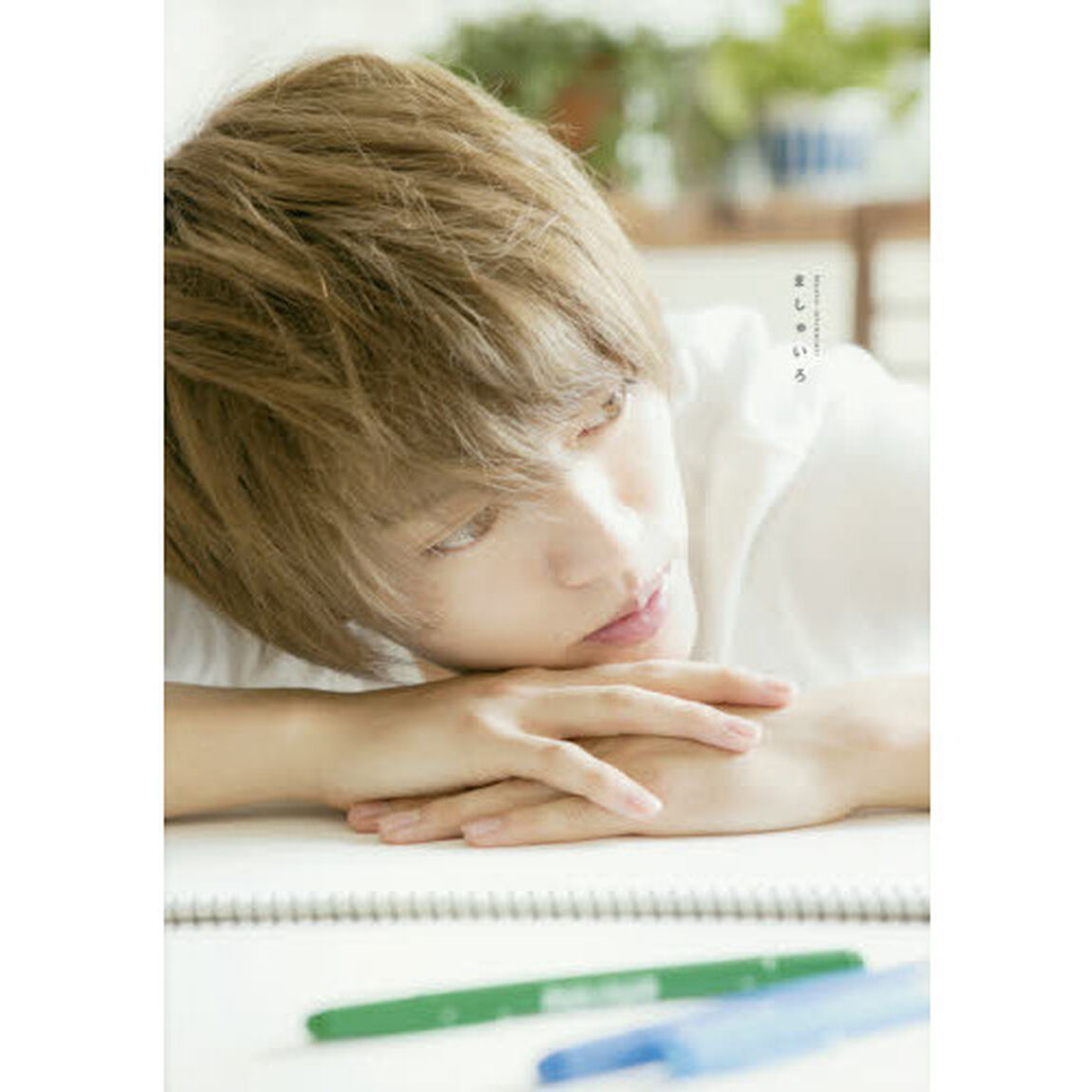 ましゅいろ　石渡真修ファースト写真集