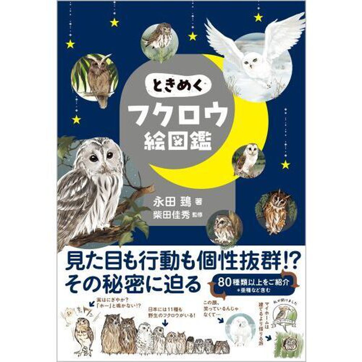 ときめくフクロウ絵図鑑