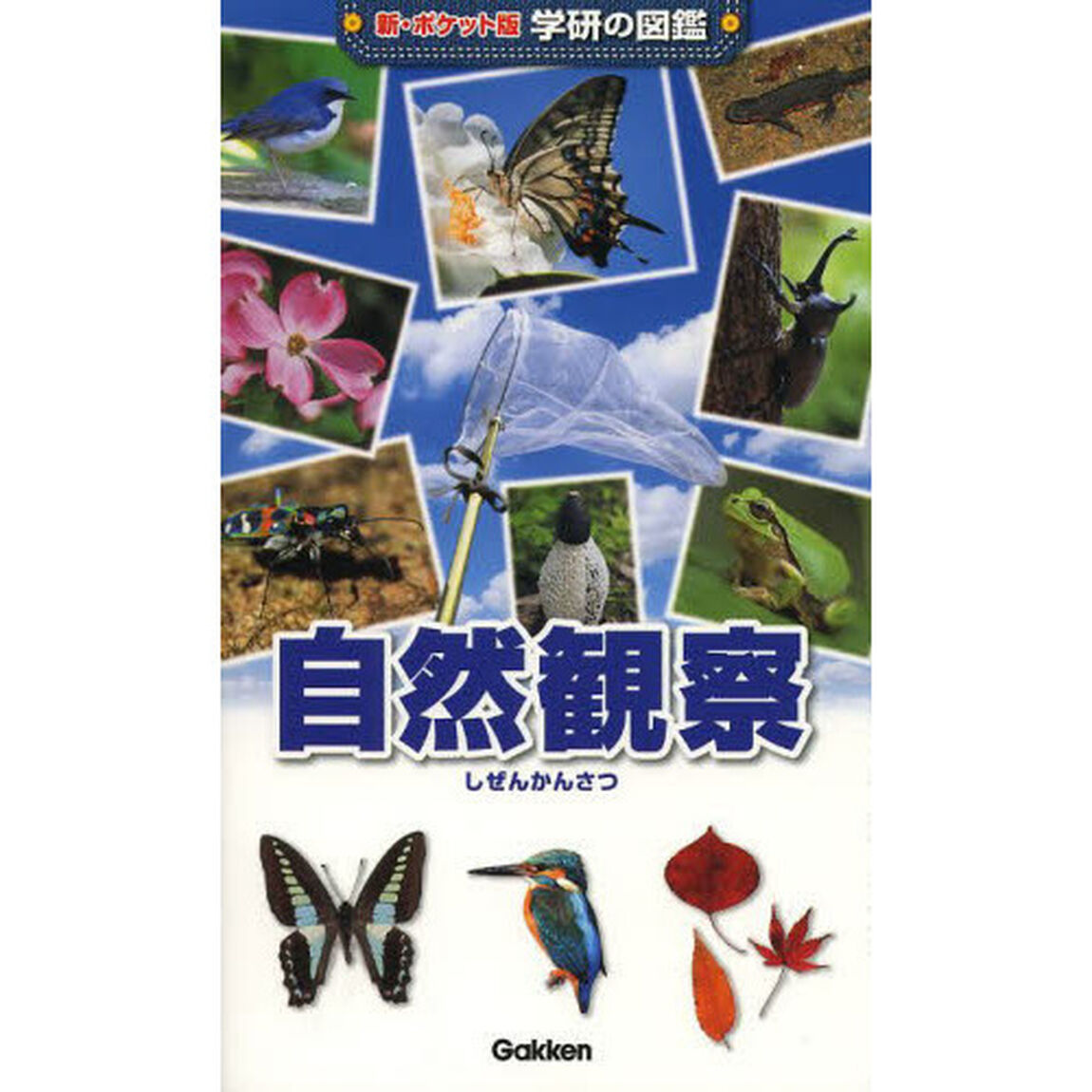 自然観察