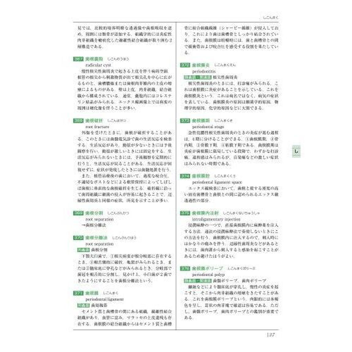歯内療法学専門用語集「第２版」