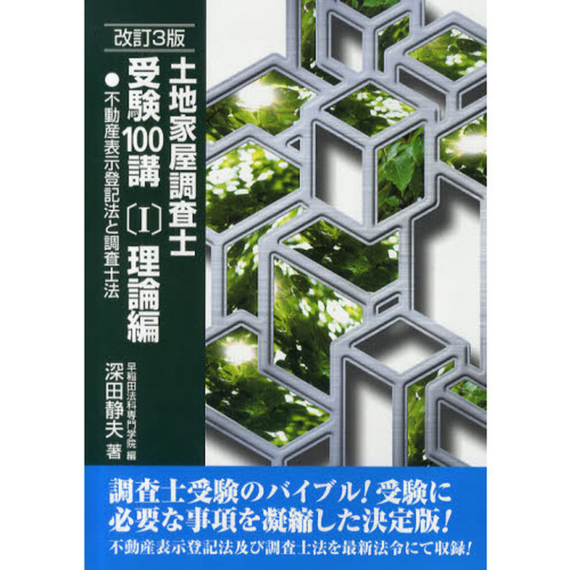 土地家屋調査士受験１００講　〔２０１０〕改訂３版１「理論編　不動産表示登記法と調査士法」