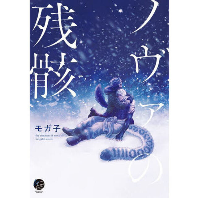 ノヴァの残骸