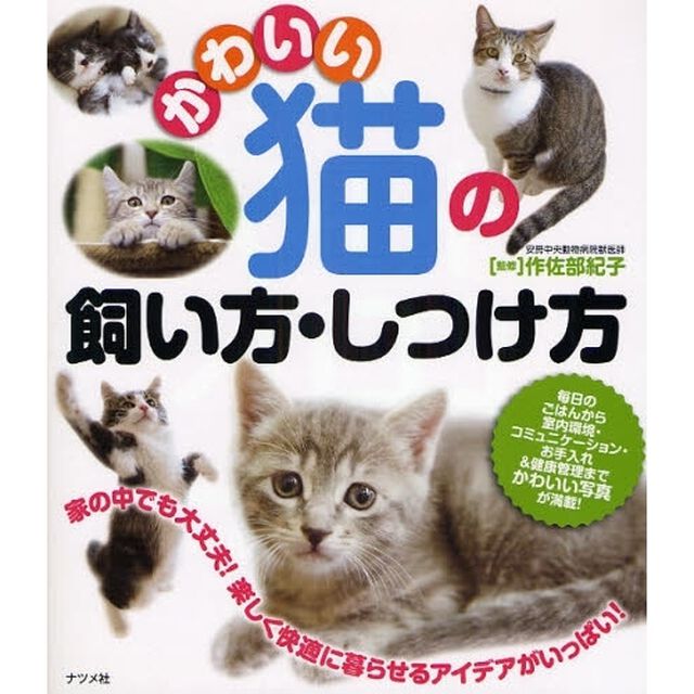 かわいい猫の飼い方・しつけ方