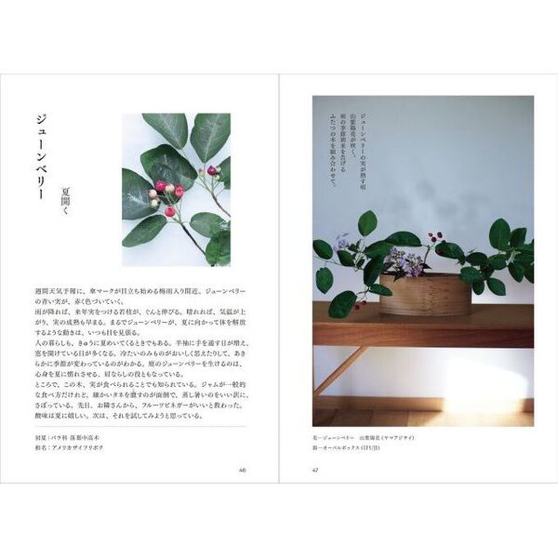 百実帖