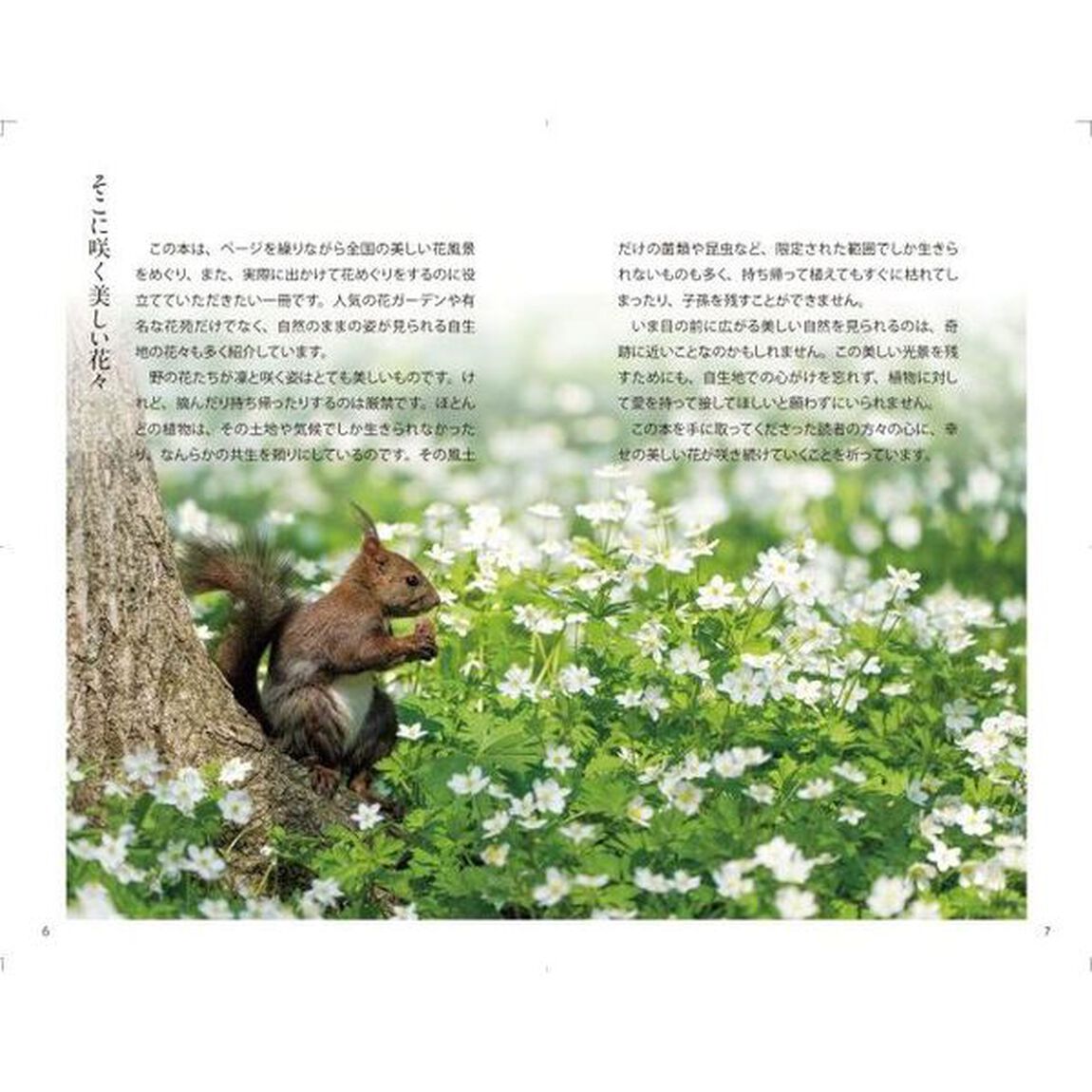 花めぐり図鑑　絶対行きたい全国の花風景