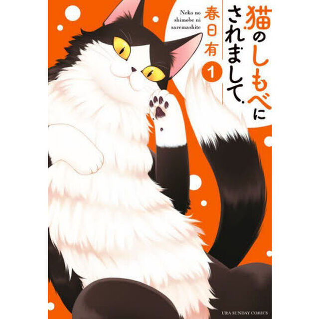 猫のしもべにされまして　１