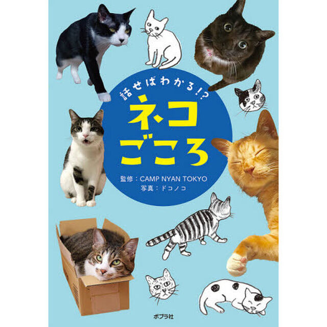 話せばわかる！？ネコごころ