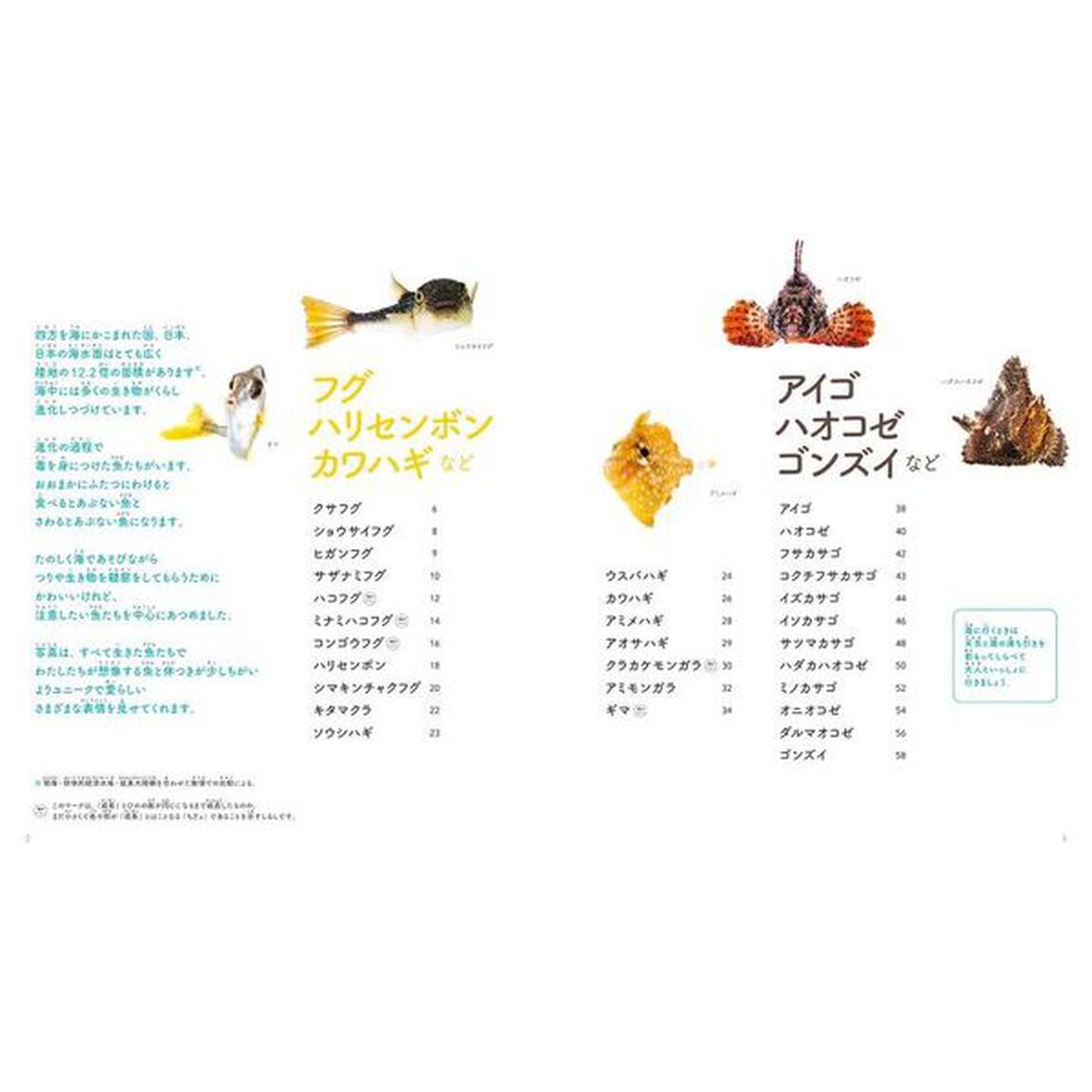 ゆかいな魚たち　フグ　ハリセンボン　カワハギ　アイゴ　ハオコゼ　ゴンズイ