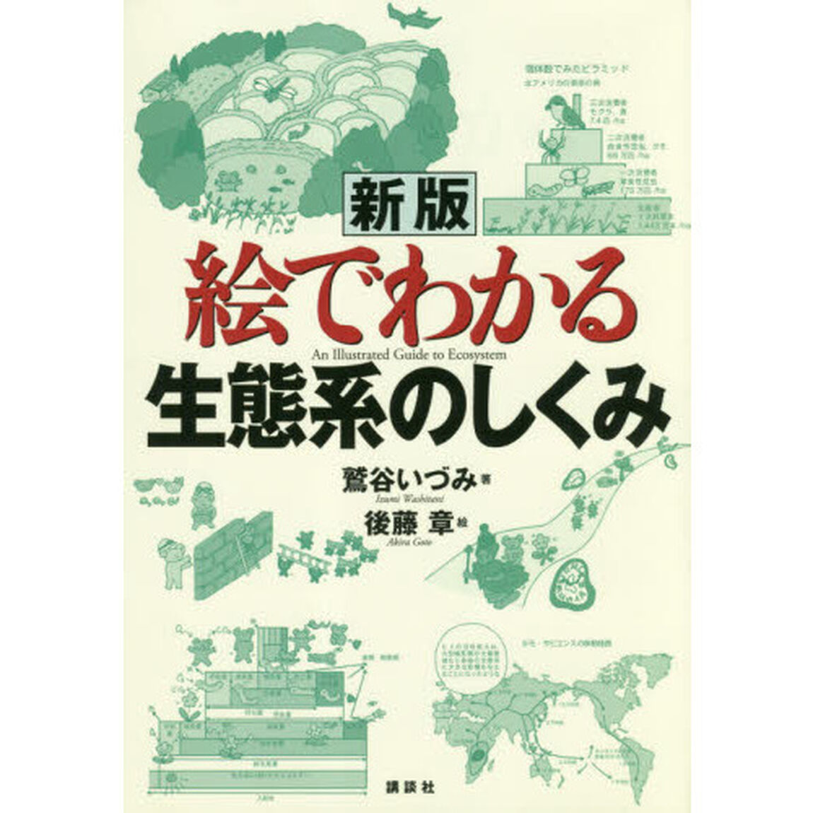 絵でわかる生態系のしくみ「新版」