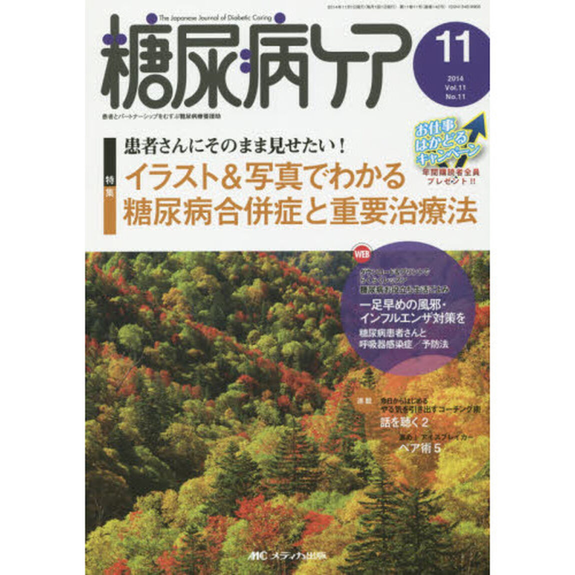 糖尿病ケア　患者とパートナーシップをむすぶ糖尿病療養援助　Ｖｏｌ．１１Ｎｏ．１１（２０１４－１１）「イラスト＆写真でわかる糖尿病合併症と重要治療法」